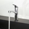 Кухонный смеситель Hansgrohe Focus 31806000