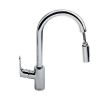 Кухонный смеситель Hansgrohe Focus 31815000