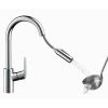 Кухонный смеситель Hansgrohe Focus 31815800