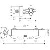 Термостат для душа Axor Carlton 17261090