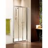 Душевая дверь Radaway Treviso DW 32313-01-01N