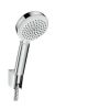 Ручной душ Hansgrohe Crometta 100 26666400