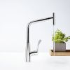 Кухонный смеситель Hansgrohe Metris Select 14884000