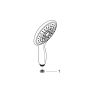 Ручной душ Grohe Power&Soul 27673000