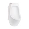Пісуар Q-Tap Tuvik QT0886038W