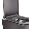 Безободковый унитаз с сиденьем Q-Tap Tern QT1733052ERMB